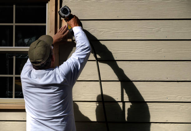 Best Brick Veneer Siding  in Iuka, MS